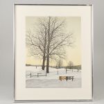 1741 2092 Färglitografi